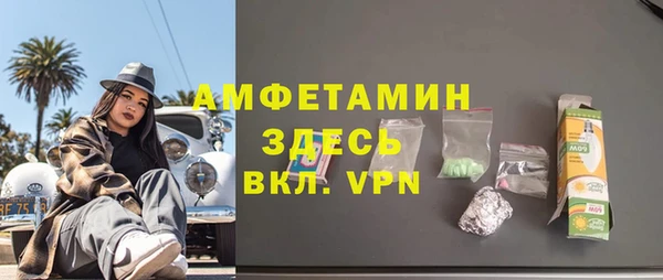 сатива Баксан