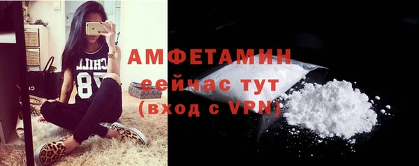 сатива Баксан