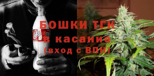 сатива Баксан