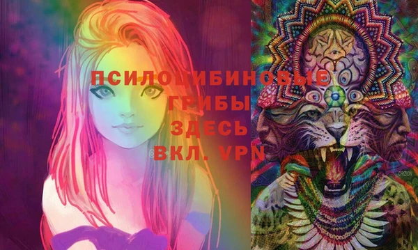 сатива Баксан
