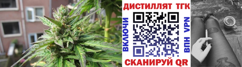 ТГК концентрат  Купить где  Чадан 