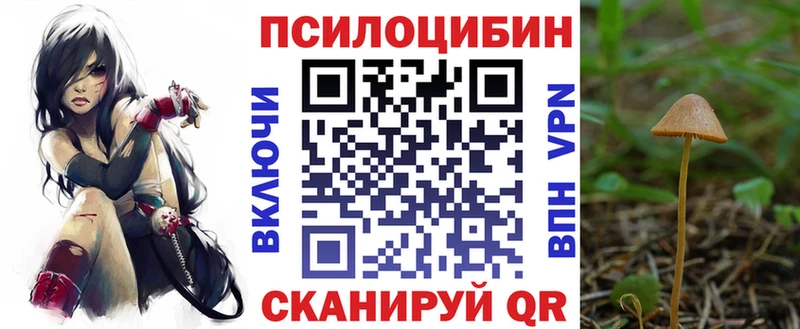 Купить  Чадан  Галлюциногенные грибы Magic Shrooms 